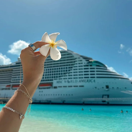 Essential Cruise Planning Service